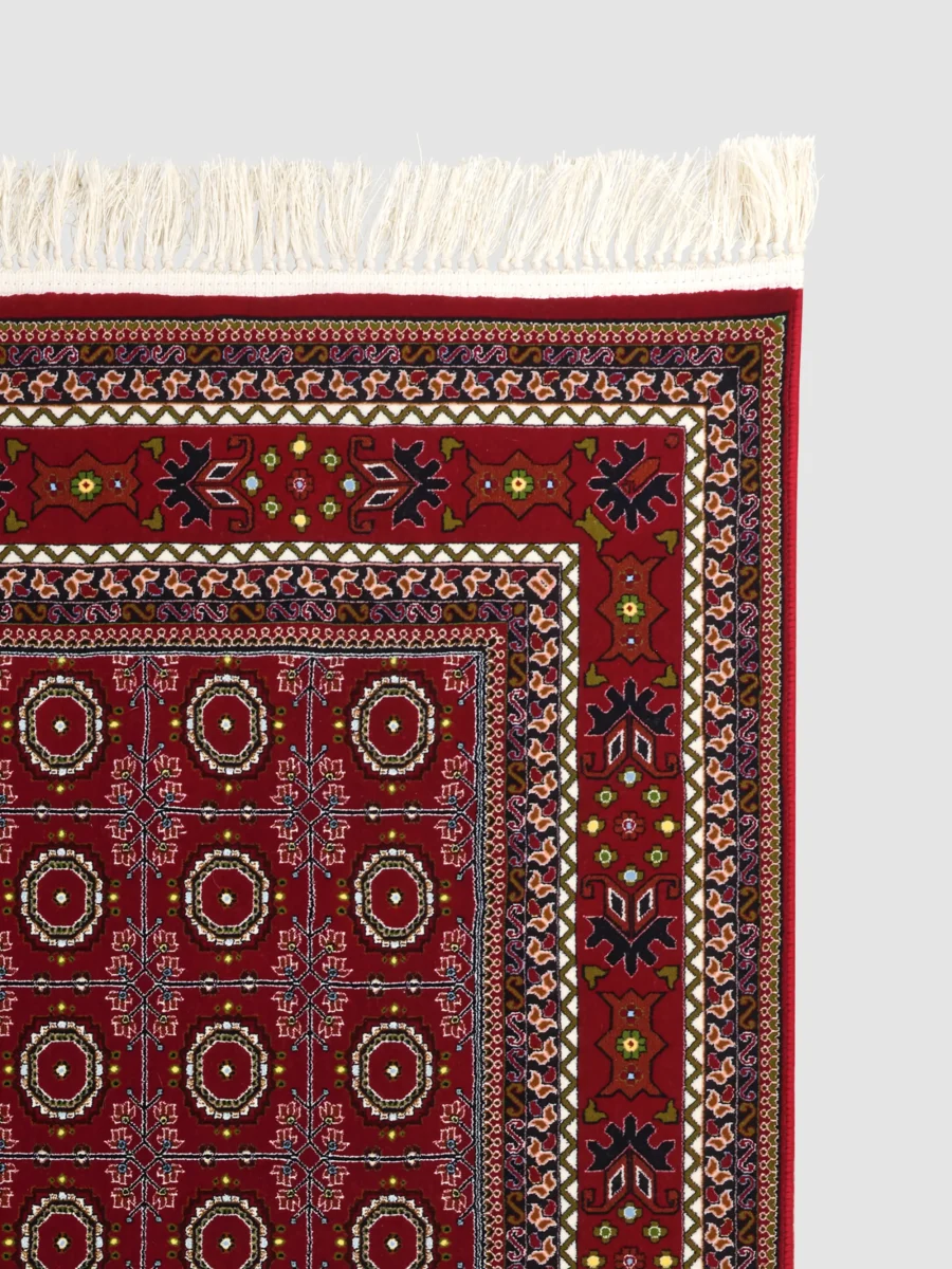 Sorayah - Image 4