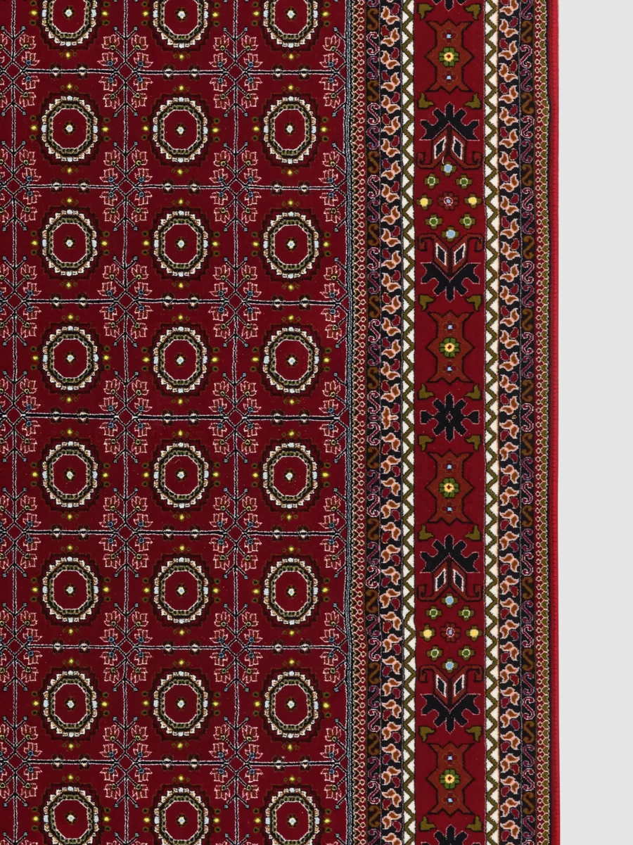 Sorayah - Image 3