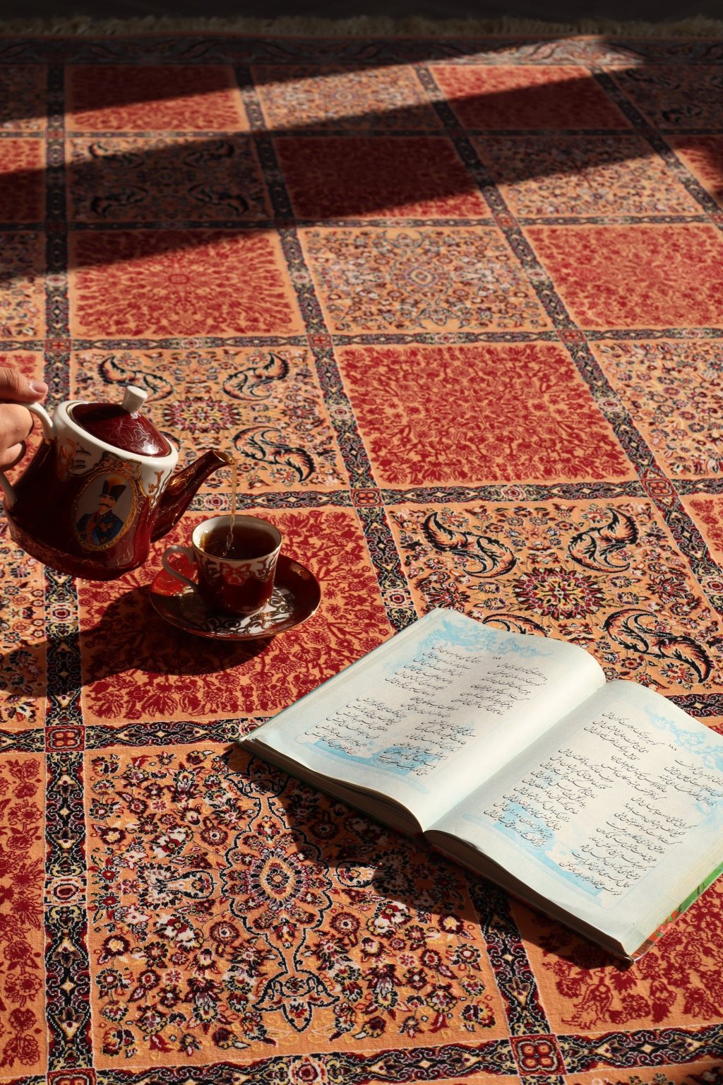 Roya rug in a light living room
